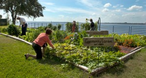 Nemours Community garden people-1