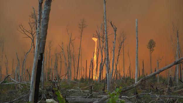 One of the central Florida wild fires