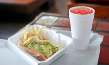 01CAMEL3-articleLarge