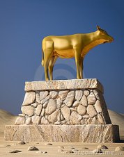 golden-calf-thumb16804571